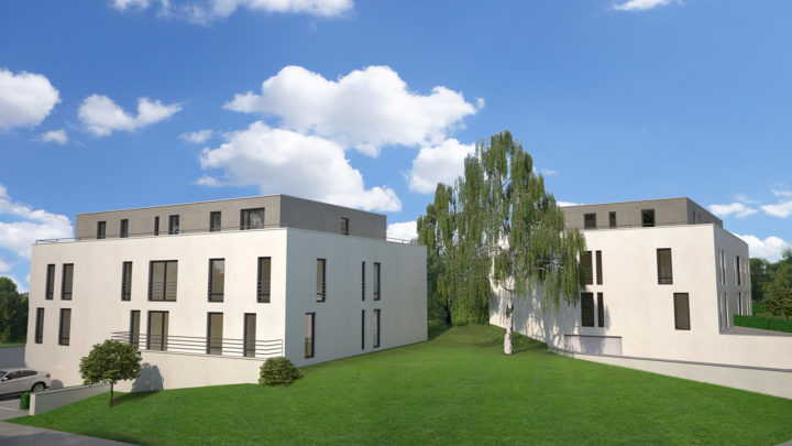 Binsfeld001Low